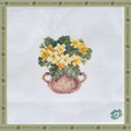 Buttercup Bloom